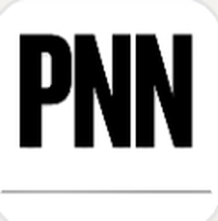 PNN Solutions logo